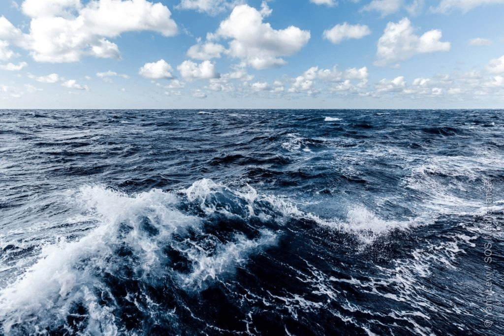 [COMMUNIQUE] Les personnes secourues par Sea-Watch et Sea-Eye autorisées à débarquer après plusieurs jours en mer SOS Méditerranée