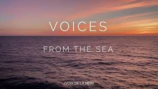 [TÉMOIGNAGE] Des voix venues de la mer SOS Méditerranée